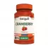 Cranberry Com 60 Capsulas Katigua