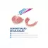 Fixodent Original Creme Fixador para Dentadura 39g